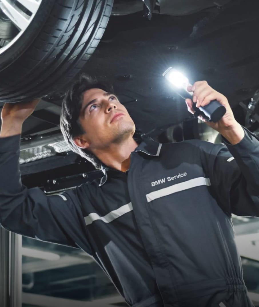 Principle Bmw Of Corpus Christi